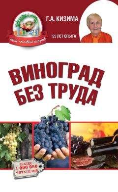Юрий Загвоздин - Как вырастить южный виноград на севере