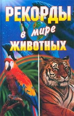 Анна Смирнова - О чем рассказали «говорящие» обезьяны: Способны ли высшие животные оперировать символами?