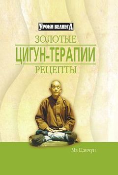  И-Шен - Сила Шаолиня. Кунг-фу, тайцзи-цюань, цигун. Древняя тайна бессмертия