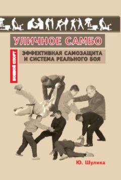 Дмитрий Силлов - Реальный уличный бой – универсальная система самообороны