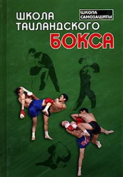 Валерий Штейнбах - Смерть на ринге. Криминальные сюжеты из жизни профессионального бокса