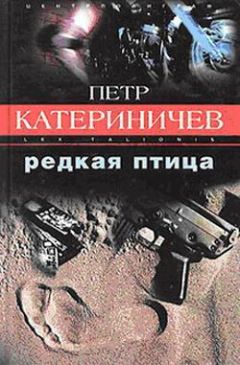 Петр Катериничев - Странник