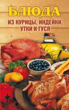 Надежда Бондаренко - Кулинарная энциклопедия. Том 39. Х – Ц (Халтура – Цукини)