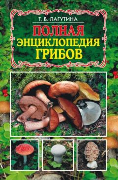 В. Смирнов - Куры. Утки. Гуси