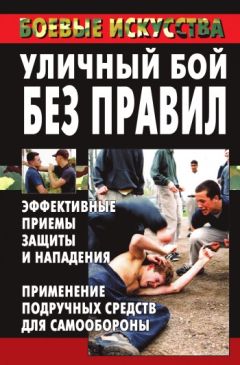 Дмитрий Силлов - Реальный уличный бой – универсальная система самообороны