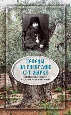 Василий кинешемский – беседы на евангелие от марка. Терпение, настойчивость, внимание