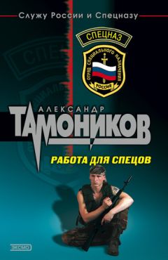 Александр Тамоников - Высшая справедливость