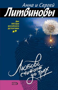 Анна и Сергей Литвиновы - За минуту до Нового года (сборник)