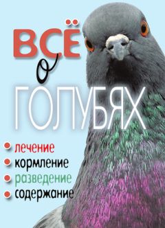 Татьяна Плотникова - Все о голубях. Лечение, кормление, разведение, содержание