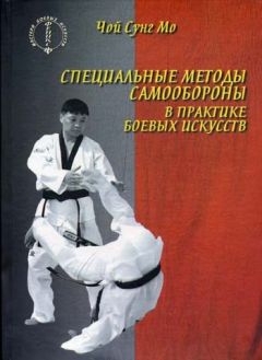 Н. Бруевич - Китайский меч в тренировочном процессе. учебно-методическое пособие