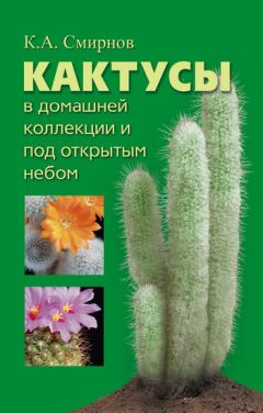 К. Лесникова - Мои солнечные гроздья. Опыт выращивания