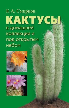 Константин Смирнов - Кактусы в домашней коллекции и под открытым небом