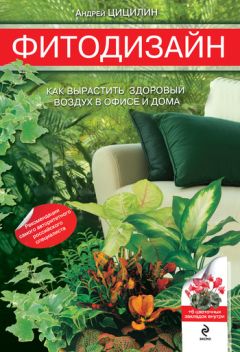 Андрей Казаков - Вящее в неприметном