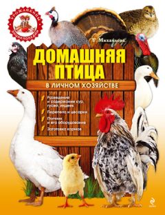 Александр Снегов - Все о перепелах. Лучшие породы. Разведение, содержание, уход. Практическое руководство