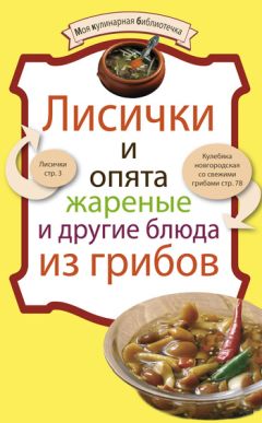 Наталья Шинкарёва - Кулинарная энциклопедия. Том 9. Ж-И (Жинжинья – Исландская заправка)