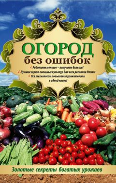 Татьяна Ситникова - Огород по всем правилам. Секреты мастерства