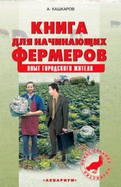 В. Самойлов - Устройство и ремонт полов