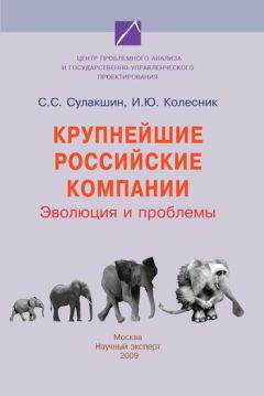 Ирина Колесник - Крупнейшие российские компании. Эволюция и проблемы