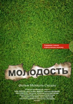 Михаил Анмашев - Стихопульсы