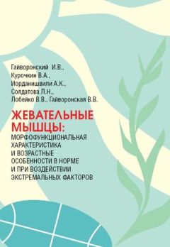 Владимир Курочкин - Жевательные мышцы: морфофункциональная характеристика и возрастные особенности в норме и при воздействии экстремальных факторов