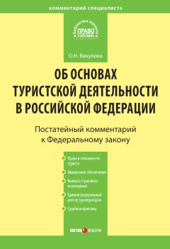 Александр Борисов - Комментарий к Федеральному закону от 21 ноября 1996 г. № 129-ФЗ «О бухгалтерском учете» (постатейный)