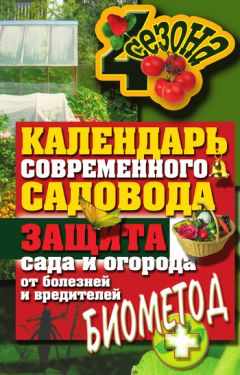 Надежда Коцарева - Золотые правила садовода и огородника