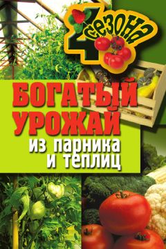 Сергей Кашин - Теплица и грядки. Богатый урожай без лишних трат