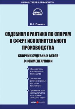 Денис Шевчук - Налоговые споры: Практика