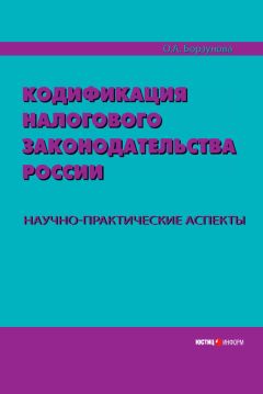 Александр Борисов - Споры с налоговыми органами и органами государственных внебюджетных фондов в новых условиях налогового администрирования. Практические рекомендации