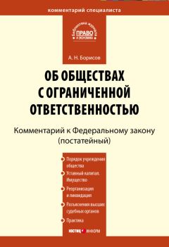 Александр Борисов - Комментарий к Федеральному закону от 4 мая 2011 г. №99-ФЗ «О лицензировании отдельных видов деятельности» (постатейный)