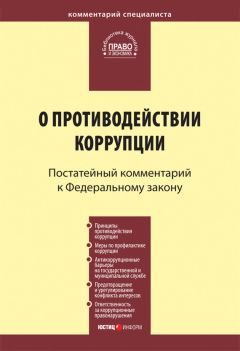 Михаил Петров - Комментарий к Федеральному закону от 29 декабря 2006 г. № 256-ФЗ «О дополнительных мерах государственной поддержки семей, имеющих детей» (постатейный)