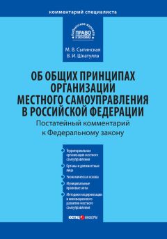 Екатерина Заболотских - Ответственность должностных лиц и органов местного самоуправления. 2-е издание