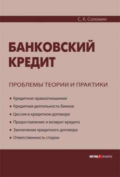 Сергей Соломин - Банковский кредит: проблемы теории и практики