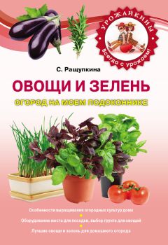 Светлана Ращупкина - Заборы, ограды, калитки и ворота на дачном участке