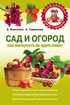 Анна Зорина - Сад и огород без затрат и хлопот. Хитрости, которые помогут получить высокий урожай. Садовые постройки и инвентарь