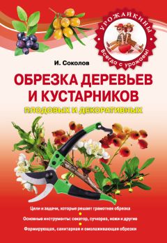 Николай Курдюмов - Обрезка без секатора и другие нетравмирующие приемы формировки кроны