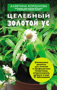 Алевтина Корзунова - Золотой ус и другие народные средства при первой помощи