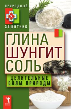 Ю. Николаева - Глина, шунгит, соль. Целительные силы природы