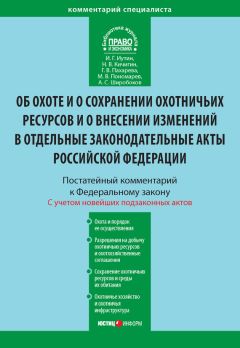 Денис Вавулин - Комментарий к Федеральному закону «О противодействии неправомерному использованию инсайдерской информации и манипулированию рынком и о внесении изменений в отдельные законодательные акты Российской Федерации» (постатейный)