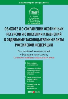 Елена Кондрат - Комментарий к Федеральному закону от 03.07.2016 № 226-ФЗ «О войсках национальной гвардии Российской Федерации»