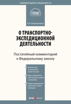 Александр Борисов - Комментарий к Федеральному закону от 30 декабря 2008 г. № 307-ФЗ «Об аудиторской деятельности» (постатейный)