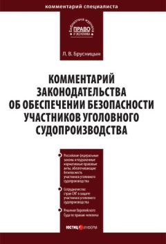 Елена Бережко - Нравственные основы уголовного судопроизводства