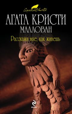 А. Владимирович - Восточный экспресс. Серия «Загадки Агаты Кристи»