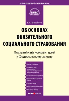 Евгения Широкова - Комментарий к Федеральному закону от 16 июля 1999 г. № 165-ФЗ «Об основах обязательного социального страхования» (постатейный)