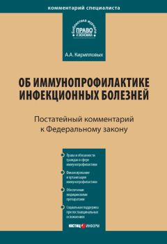 Михаил Петров - Комментарий к Федеральному закону от 29 декабря 2006 г. № 256-ФЗ «О дополнительных мерах государственной поддержки семей, имеющих детей» (постатейный)