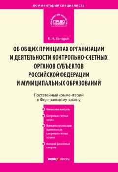 Александр Борисов - Комментарий к Федеральному закону от 30 декабря 2008 г. № 307-ФЗ «Об аудиторской деятельности» (постатейный)