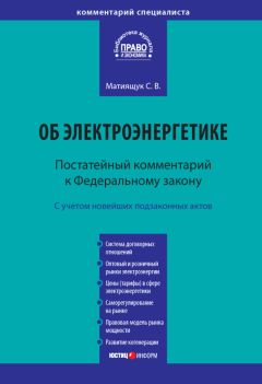 Денис Вавулин - Раскрытие информации акционерными обществами