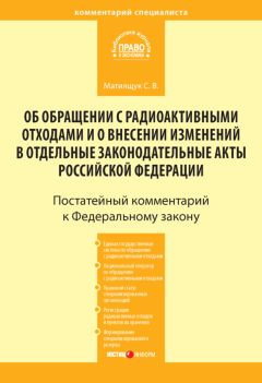 Светлана Матиящук - Комментарий к Федеральному закону «Об энергосбережении и о повышении энергетической эффективности и о внесении изменений в отдельные законодательные акты Российской Федерации» (постатейный)