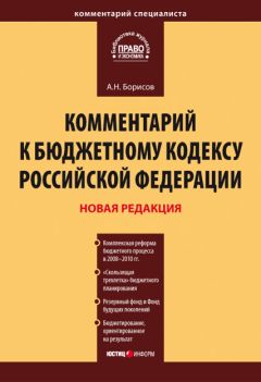 В. Чижевский - Комментарий к Уголовному кодексу Российской Федерации (постатейный) c практическими разъяснениями официальных органов и постатейными материалами