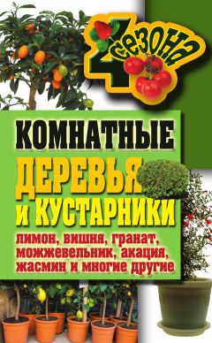 Вера Долгачева - Обучение общественно полезному труду в специальных (коррекционных) образовательных учреждениях. Комнатное цветоводство